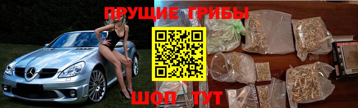 Добрянка  Псилоцибиновые грибы мицелий  Вход с VPN 